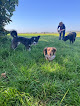 Negocio The Pawfect Retreat