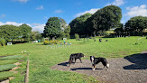 Negocio Zoomies Zone Anglesey